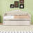 Twin Wooden Daybed with Trundle and Tufted and 2 Drawers-1613181786