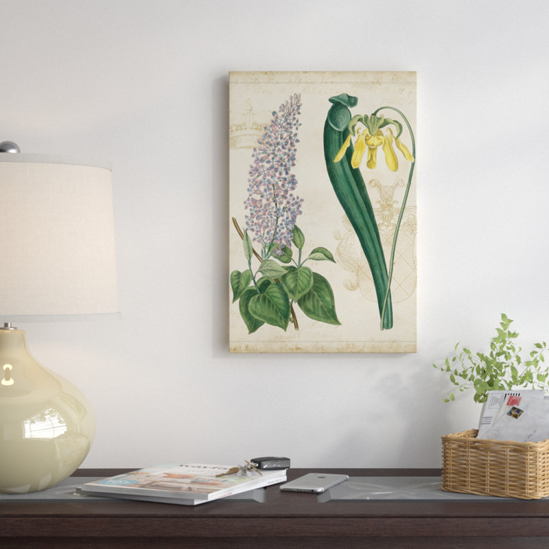 « botanique répertoire iv », reproduction d’impression sur toile tendue, H 32 po x l 24 po x P 1 po, Blanc
