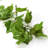 6'' in. Faux Grapevine Garland