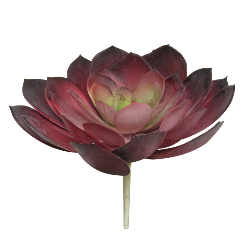 Grand 8,5 "plante succulente artificielle Echeveria Lotus, Rouge-vert