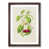 Walnut Framed selected