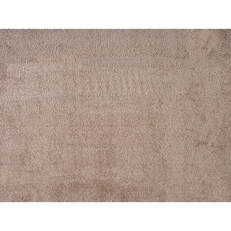 Taeler Washable Modern Living Room Rug Polyester - Anti-Slip Felt Backing SuperSoft Carpet, Dark Beige
