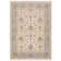 Atherine Oriental Indoor Rug