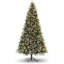 Christmas Tree-222858576