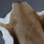 Gaudet 70cm X 100cm Area Rug