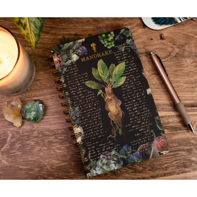 Cahier à spirale Harry Potter Mandrake