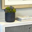 Faux Succulent Plant in Fiberstone Planter-2044098633-2044098632-2065890681