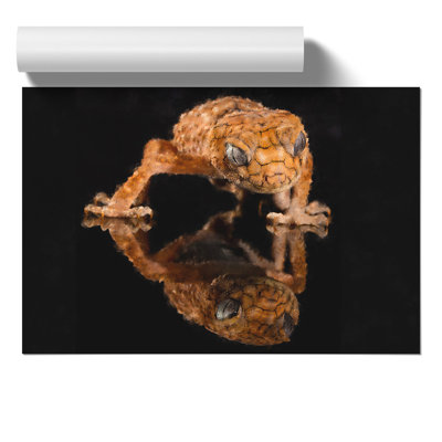 Rough Knob Gecko Lizard - No Frame Print