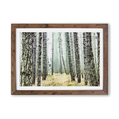View Of A Pine Tree Forest - Single Picture Frame Painting