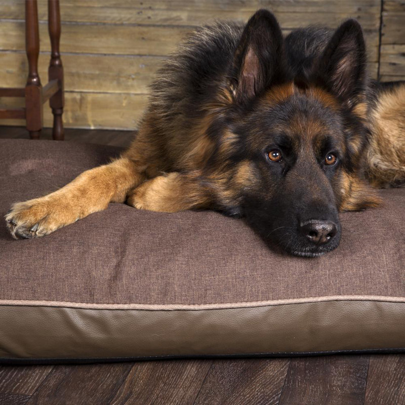 Hilton Orthopedic Polyester Pet Bed, Chocolate/Saddle Brown, 6cm H x 100cm W x 70cm D