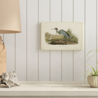 " Audubons Blue Heron " by James Audubon Painting Print