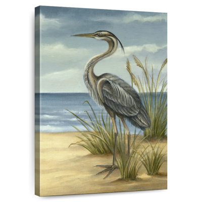 Brampt Shore Bird II