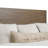 Taia Panel Bed-1425657122