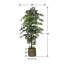 Ficus artificiel 72 po dans un panier
