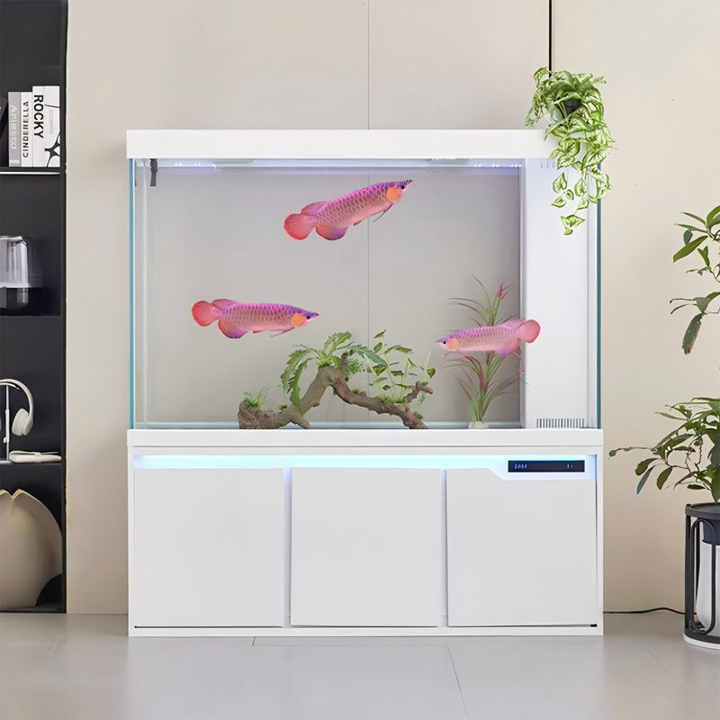 Grand aquarium blanc 39,37 po, 59.06" H x 39.37" W x 15.75" D