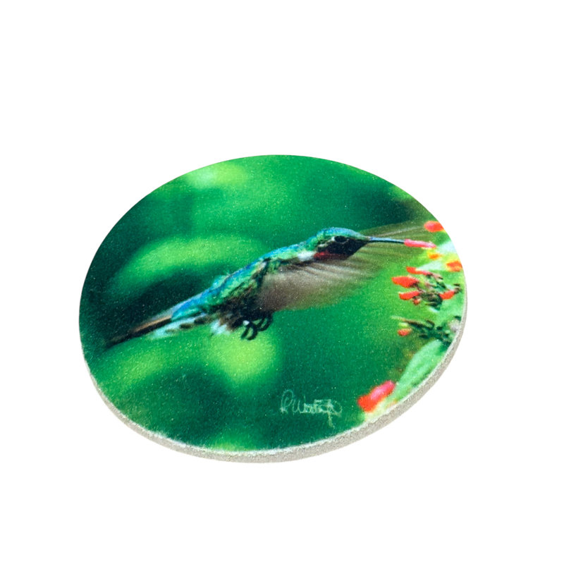 Set of 4 Hummingbird Coasters