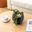 Artificial Plant