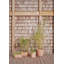 Awa Planter