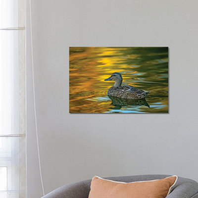 Night Glow On Golden Pond by Louis Ruth - Wrapped Canvas Print