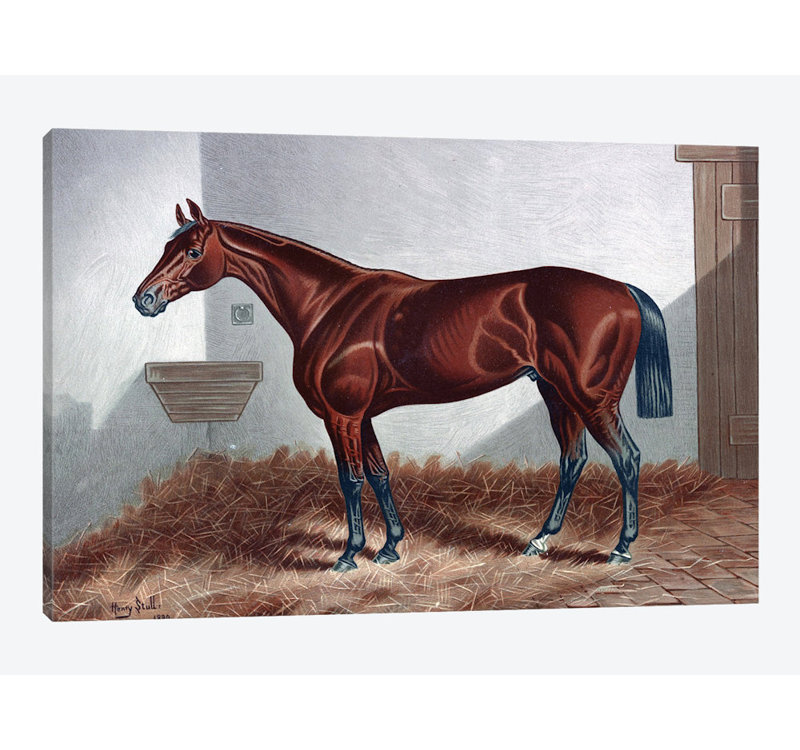 «Horse II» par - impression sur toile tendue, H 18 po x l 26 po x P 1,5 po, Toile tendue, Pas de tapis