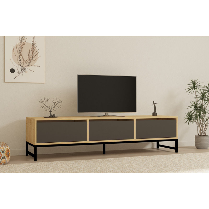 Emden TV Stand for TVs up to 48"