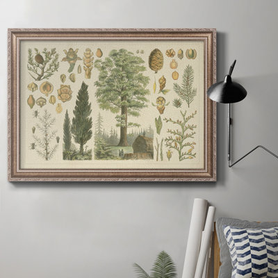 Collection Arbor - Imprimé