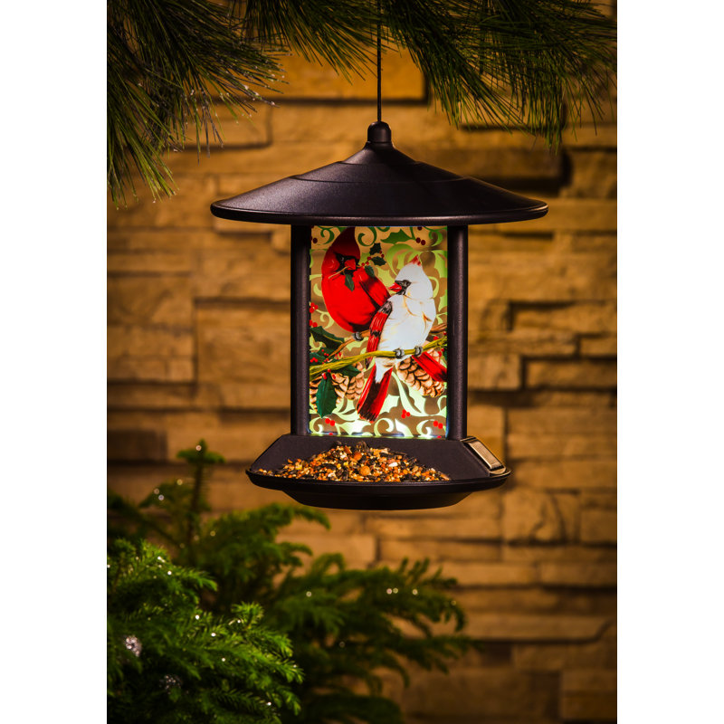 Mangeoire à oiseaux Cardinal Family