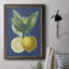 " French Lemon On Navy II "-1203730406-1187460250