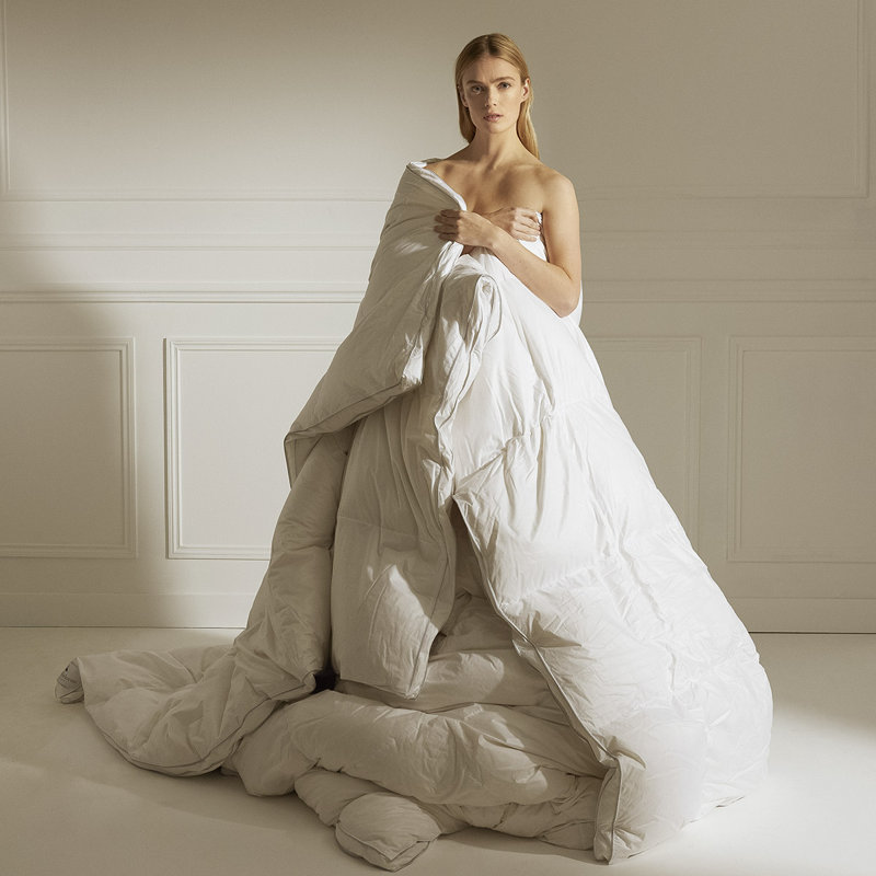 Prestige Goose Down Comforter, Queen