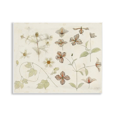 Plaque murale Nature Botanical Study, design par Julie de Graag