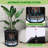 Self-Watering Tall Planters Set of 2 – 16 Inch Large Flower Pots with Water Level Monitor, Drainage Hole, Wheels – Indoor Outdoor Garden Patio Balcony Use – Black-2050124287-2050124257