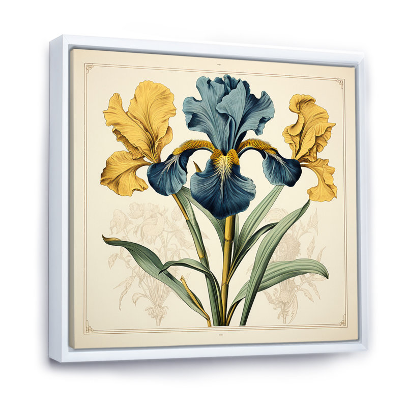 Illustration rétro d'iris bleus jaunes sur toile, H 36 po x l 36 po x P 1,5 po, Cadre flottant blanc