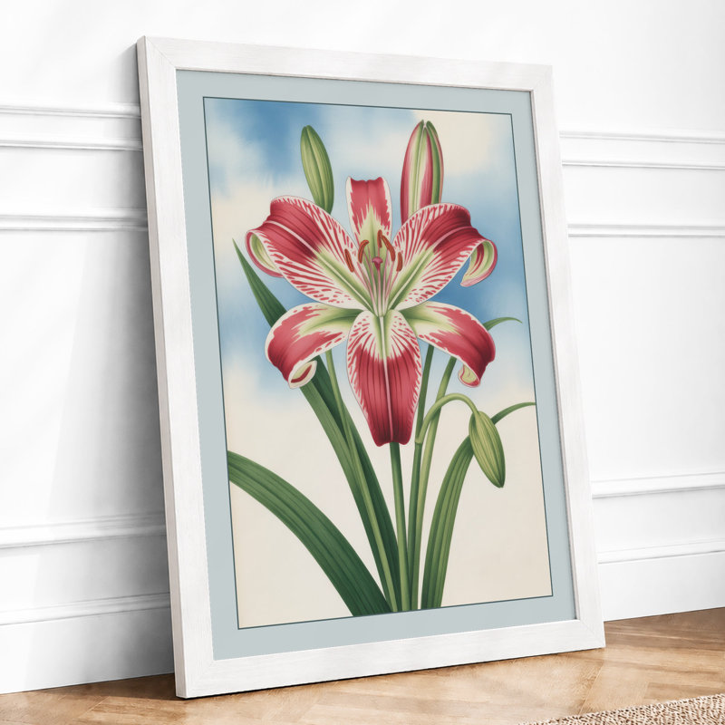 Amaryllis in Bloom Botanical - Framed Print, A4 - 29.7 x 21.0 cm, White