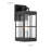 Amara Transitional Outdoor Wall sconces 13-in Clear Glass-Matte Black