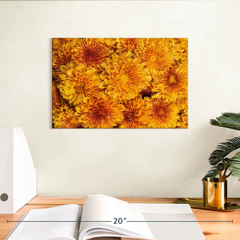 Harnek Chrysanthemums Bloom, H 8 po x l 12 po