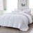 All Season Polyester Down Alternative Comforter-2091294621