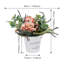 Plant-1162451313