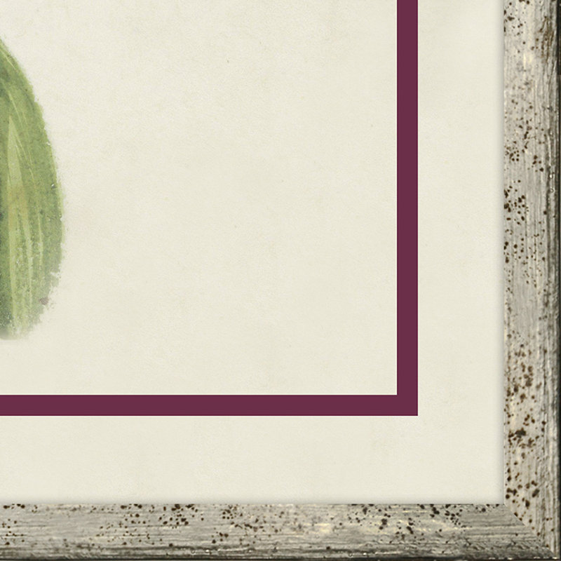 Fleur, coquillage et insecte III - Peinture encadrée sur papier
