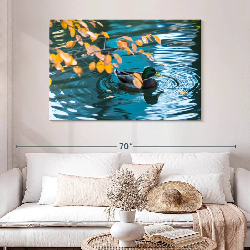 Canard colvert Brampt sur un étang, 32" H x 48" W