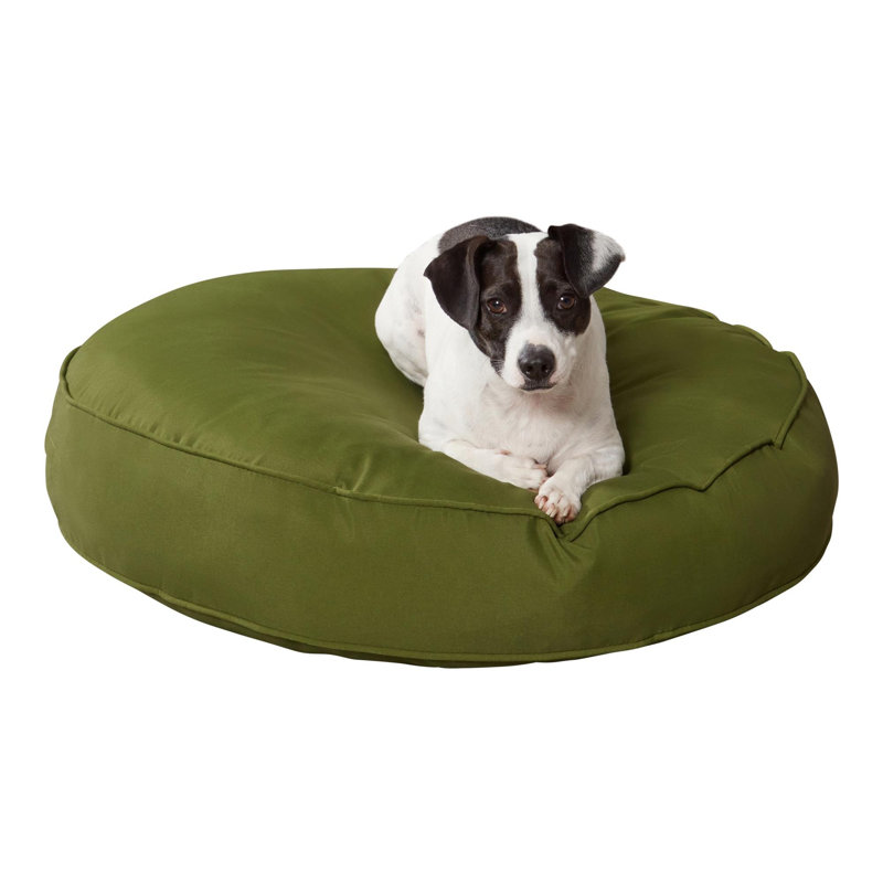 Lit-coussin pour chien Gordie, Moyen (l 30 po x P 36 po x H 5 po), Vert