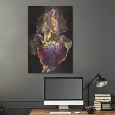 " Iris " by PhotoINC Studio