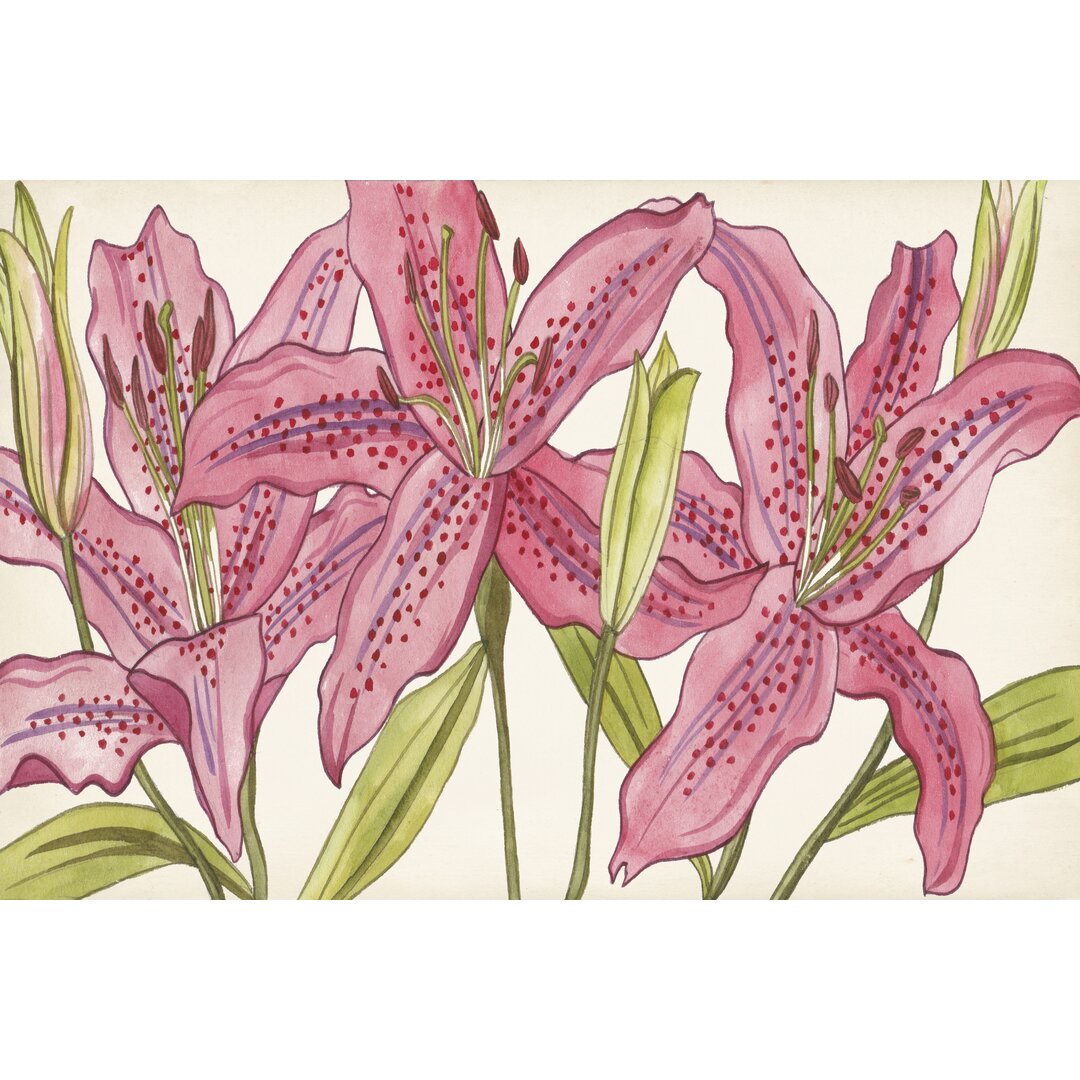 Leinwandbild Pink Lilies I