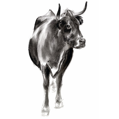 Charcoal Cattle I by Jennifer Paxton Parker - Wrapped Canvas Painting