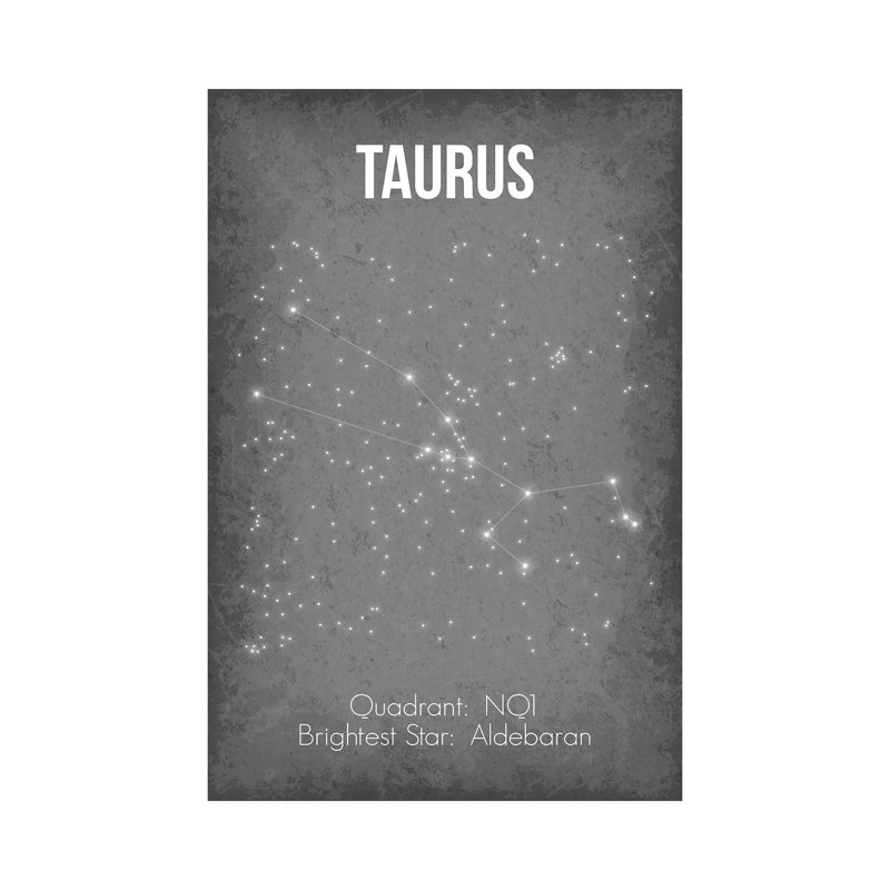 «Taurus» par GetYourNerdOn - impression sur toile tendue, H 26 po x l 18 po x 1,5 po