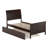 Fitzsimmons Solid Wood Platform Bed with Matching Footboard and Trundle-156627432-238577239