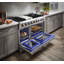 Professional 48" Freestanding Gas Range with Griddle
