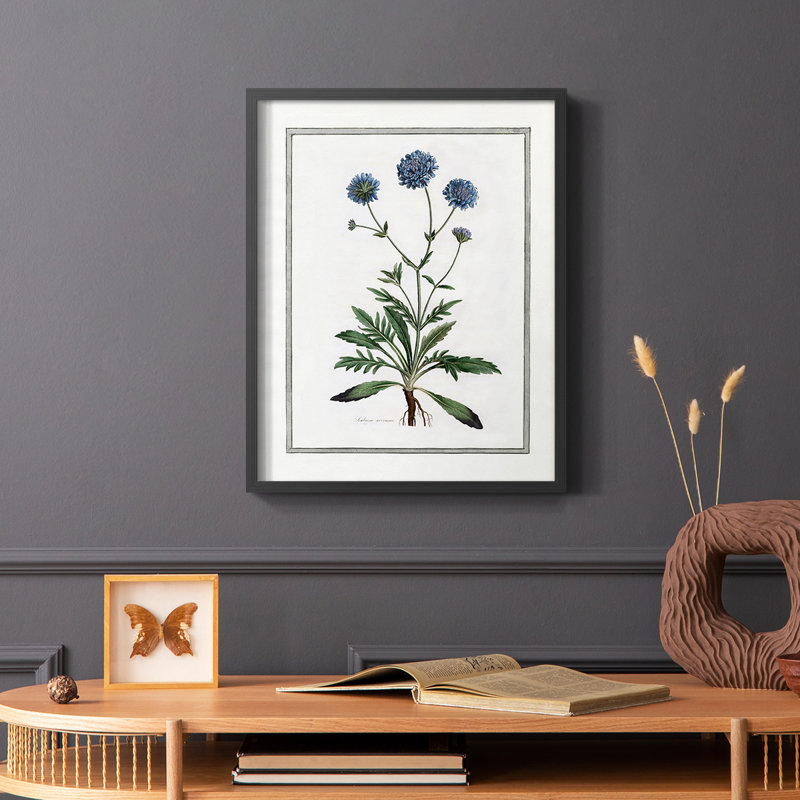 «Soft Botanical II», reproduction encadrée - bois massif, H 14 po x l 11 po, Noir