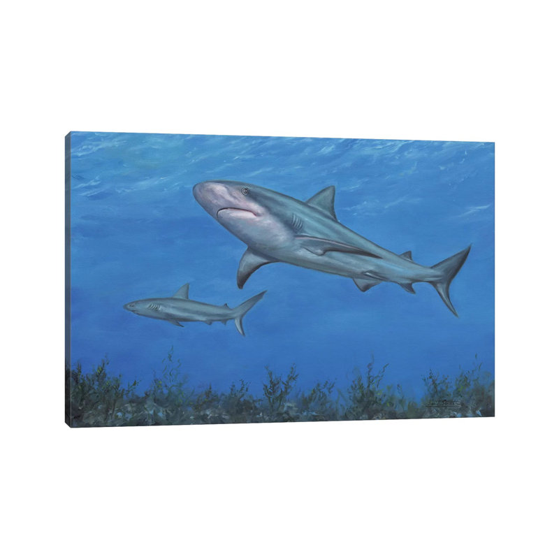 Reef Shark par David Stribble, reproduction d'art sur toile tendue, H 26 po x l 40 po x 1,5 po