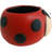 5" Cement Lady Bug Planter