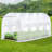 Greenhouse Multiple Sizes-100504715-92124149
